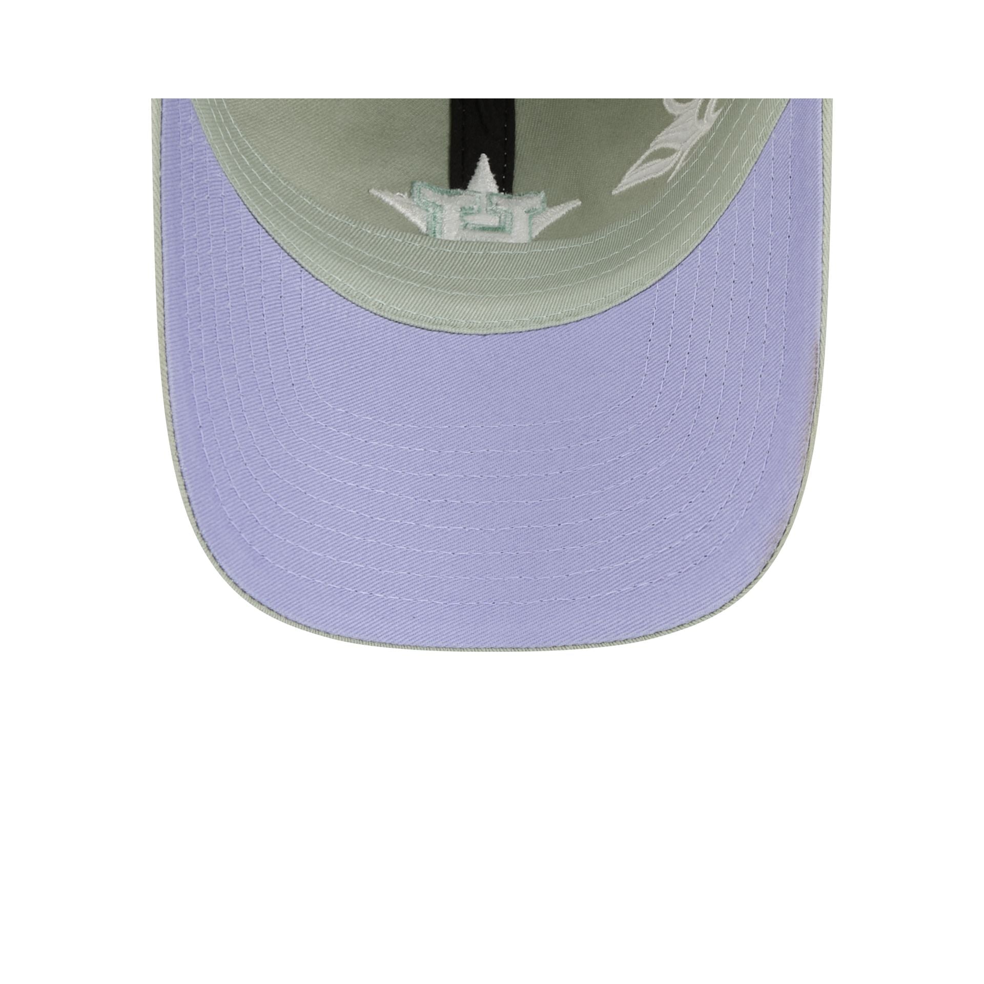 Houston Astros Stitched Flowers Casual Classic Adjustable Hat
